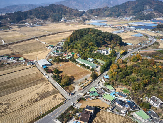 DJI_0194